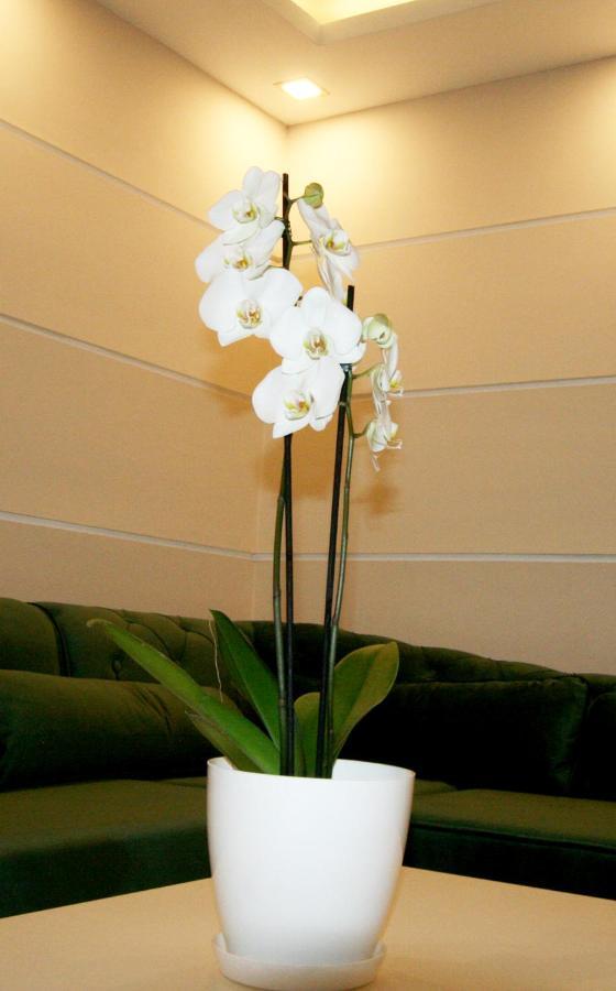 Apartment Jasmine 2 Belgrado Esterno foto